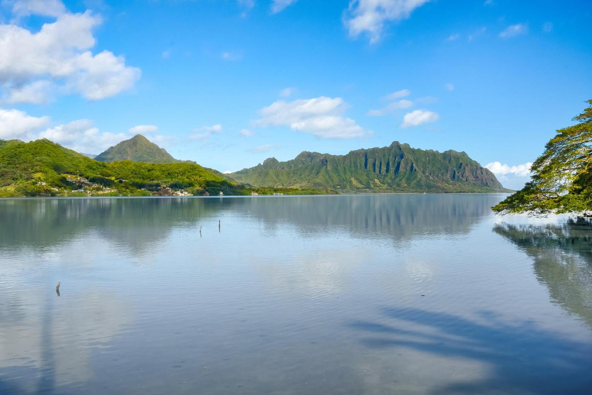 Paradise Bay Resort Kaneohe Eksteriør bilde